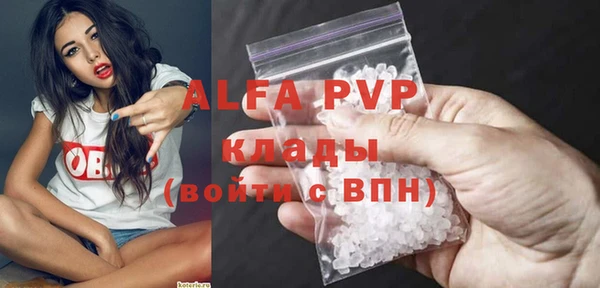 дживик Богородск