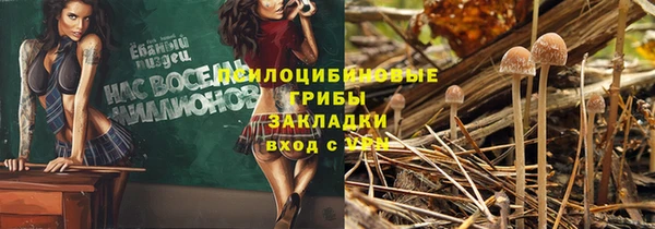 марки nbome Белокуриха