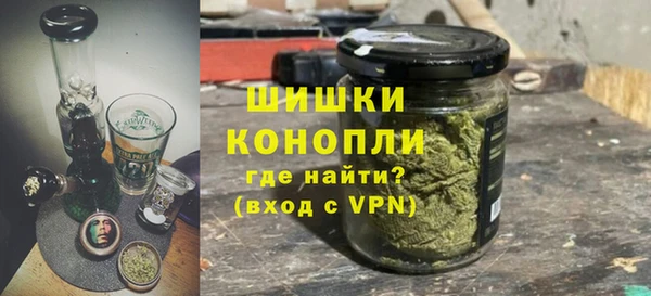 дживик Богородск