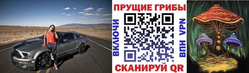 Галлюциногенные грибы Psilocybe Белорецк